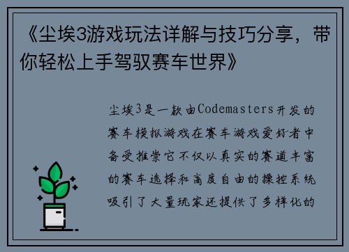 《尘埃3游戏玩法详解与技巧分享，带你轻松上手驾驭赛车世界》